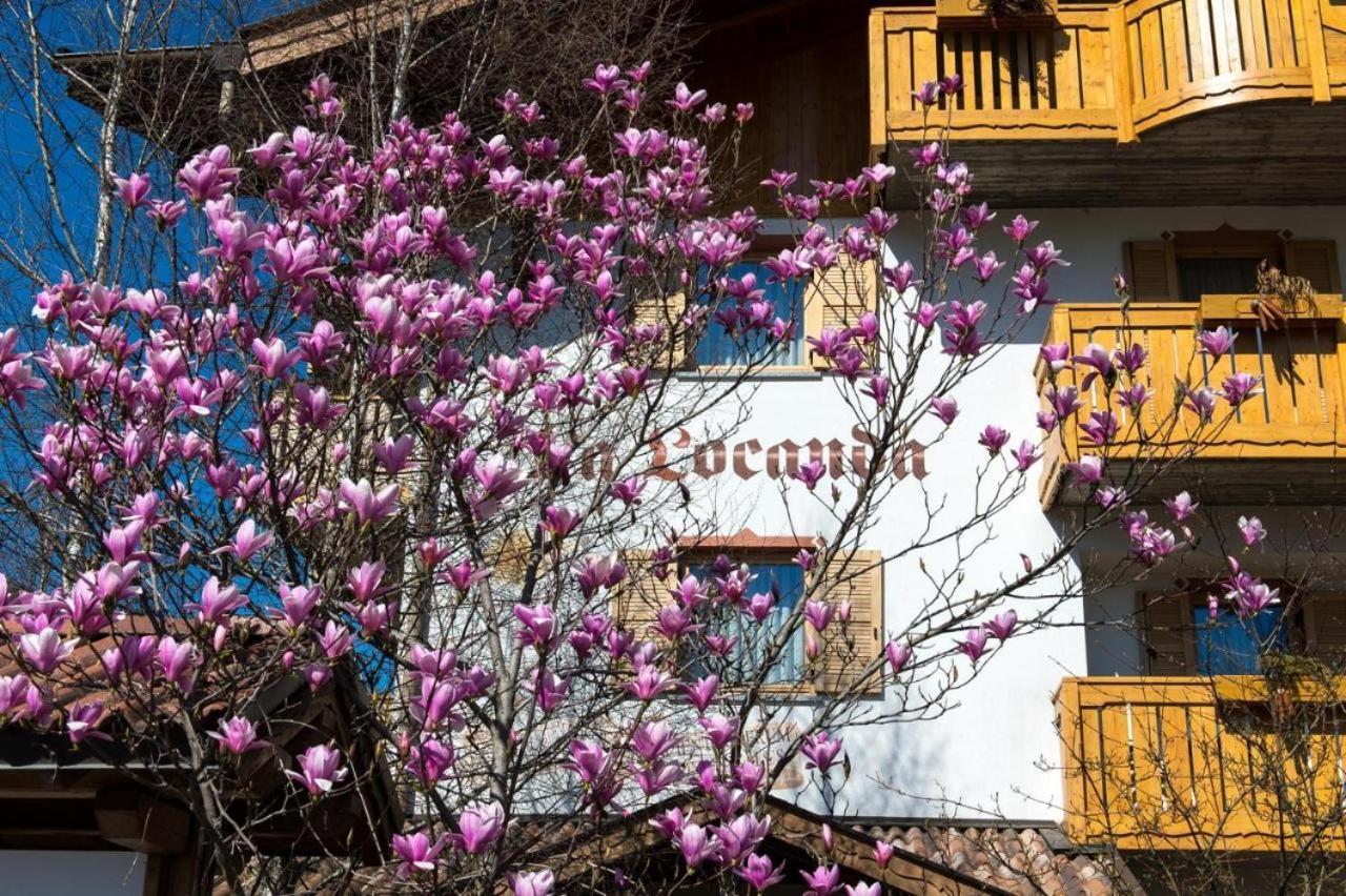 פינזולו Hotel La Locanda מראה חיצוני תמונה